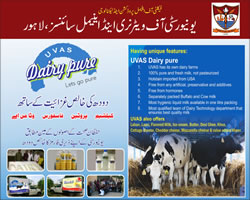 UVAS Dairy Pure
