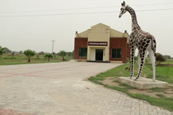 4. Zoological Museum B