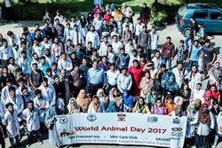 Awareness Walk On World Animal Day