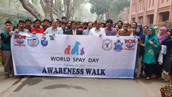 Awareness Walk On World Spay Day