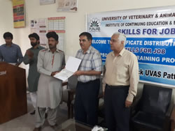 Certificate Distribution To Trainees