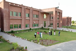 College of Veterinary and Animal Sciences, Jhang