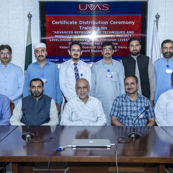 Training on Advanced Reproductive Techniques and Management in Animals concluded at UVAS 2