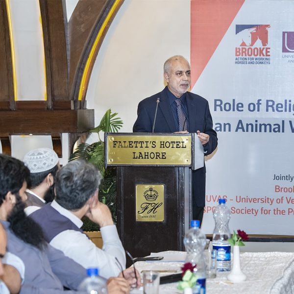UVAS, SPCA & Brook Pakistan jointly arranges consultative meeting on the  ‘Role of Religion in Building an Animal Welfare Society’