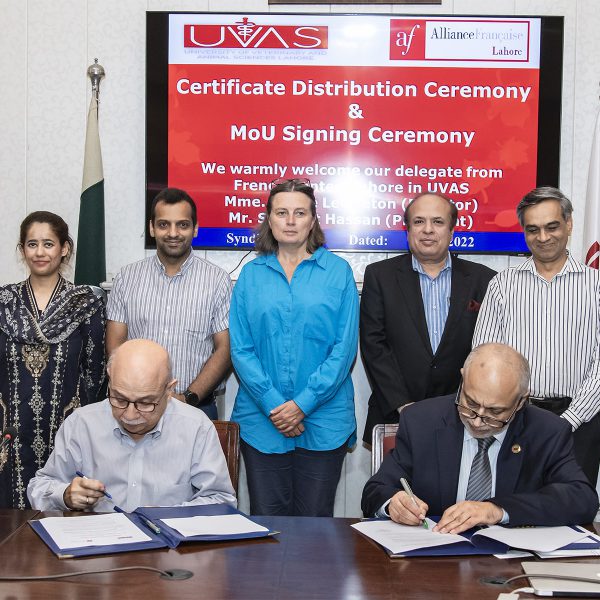 UVAS inks MoU with Alliance Française of Lahore (AFL) and holds certificates distribution ceremony for successful candidates