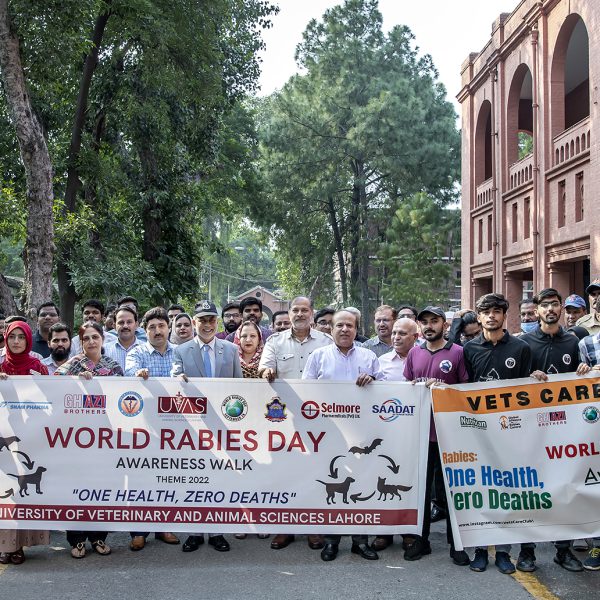 World Rabies Day observed at UVAS