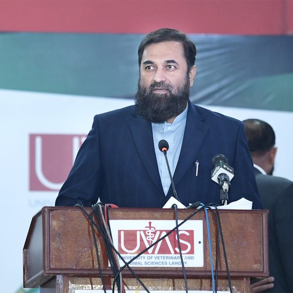 Prime Minister`s Youth Talent Hunt National wrestling & Weightlifting League kick off at UVAS
